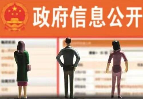 【胜诉故事】用“未征收过土地”答复信息公开申请,冠领律师出马复议成功-图2