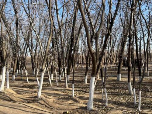【胜诉故事】承包林地被非法占用，冠领律师助委托人推动查处事项进程-1