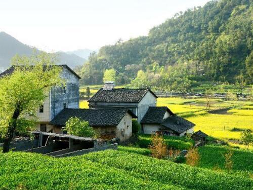 河南农村住宅拆迁律师-农村户口拆迁怎么补偿