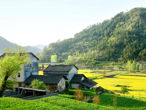 济南这个地方发布征地预公告啦，快来看看有你家吗