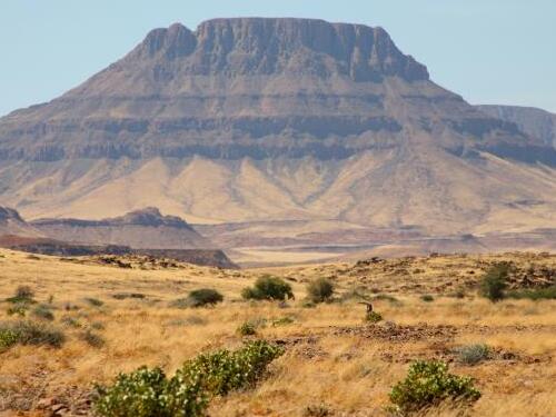 【胜诉故事】行政协议到期不履行?冠领律师助数千位村民拿回数百亩土地-1 【胜诉故事】行政协议到期不履行?冠领律师助数千位村民拿回数百亩土地-1