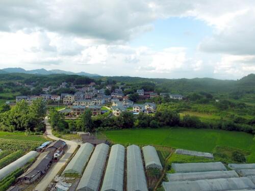 【政策速递】山东省济宁市泗水县拟征收3.3194公顷土地，每公顷补偿90万元，快来看看吧