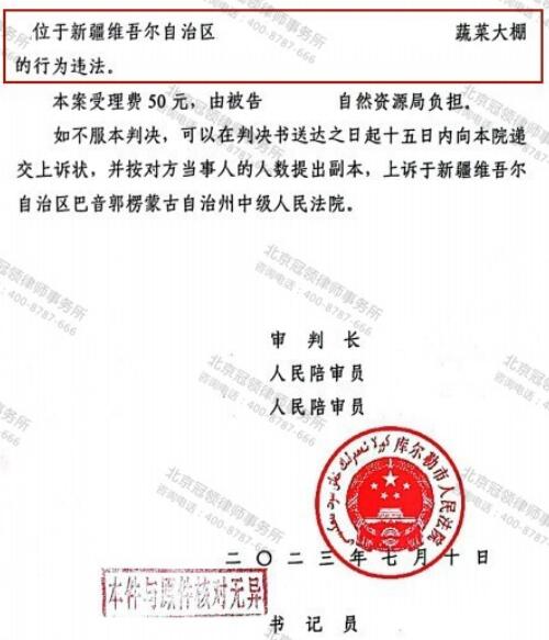 【胜诉故事】母亲签署补偿协议蔬菜大棚即遭强拆，儿子不服请冠领律师代理起诉确认强拆违法-5