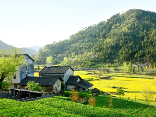 河南农村拆迁律师-私自翻建的农村房屋拆迁没有补偿怎么办