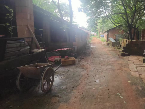 补偿谈不拢被指“违建”强拆，养殖场拆迁补偿权益如何维护