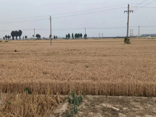 【胜诉故事】兄妹俩继承拆迁补偿权益受阻,冠领律师起诉敦促相关部门履行职责-1 【胜诉故事】兄妹俩继承拆迁补偿权益受阻,冠领律师起诉敦促相关部门履行职责-1