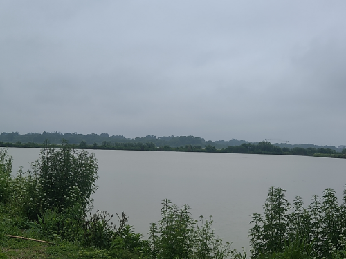 【胜诉故事】广东湛江养鱼专业户信息公开申请受阻,冠领律师助力维护公民知情权-1 【胜诉故事】广东湛江养鱼专业户信息公开申请受阻,冠领律师助力维护公民知情权-1