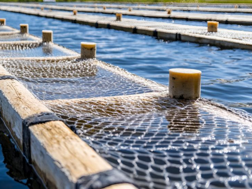 1761788221711269.jpg 2.jpg