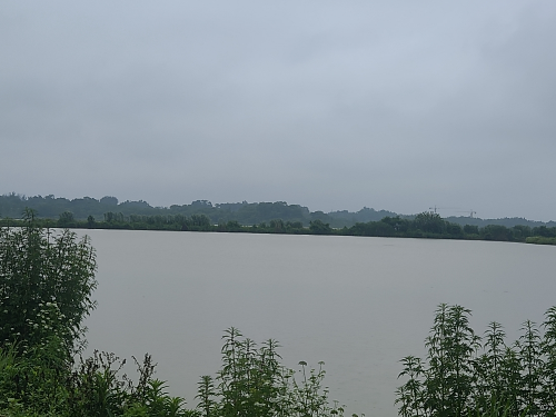 【胜诉故事】四户村民未流转农田遭养猪场占用,冠领律师以备案审批为突破口促主管部门履职-1 【胜诉故事】四户村民未流转农田遭养猪场占用,冠领律师以备案审批为突破口促主管部门履职-1