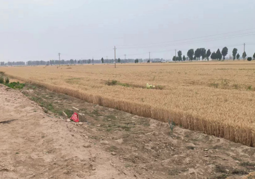 【胜诉故事】两诉两胜!冠领律师代理湖南岳阳四位村民守护农田使用监督权-1 【胜诉故事】两诉两胜!冠领律师代理湖南岳阳四位村民守护农田使用监督权-1