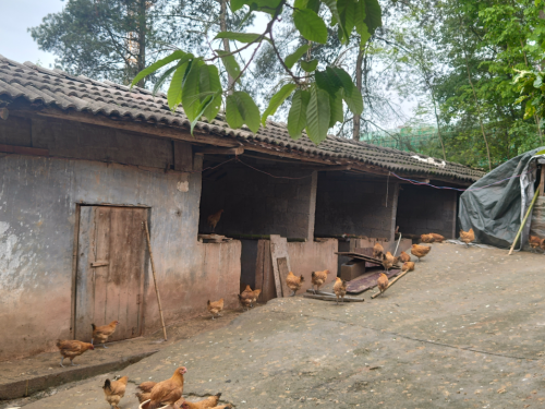 冠领律所说法：宅基地遇拆迁，拆迁补偿都包括哪些