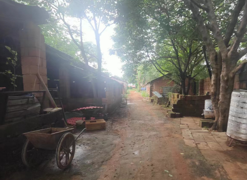 【胜诉故事】村民养殖场因位于开发边界外违建被强拆，冠领律师聚焦程序合法性助其成功维权-1