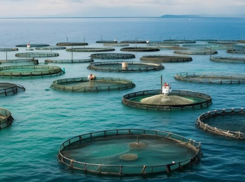 【胜诉故事】村民1200亩养殖海产被毁，有关部门却保持沉默，冠领律师一招击破行政不作为-1