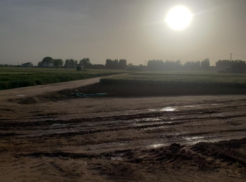 【胜诉故事】村民菜地遭征收强制清表，冠领律师精准维权助力获赔-1