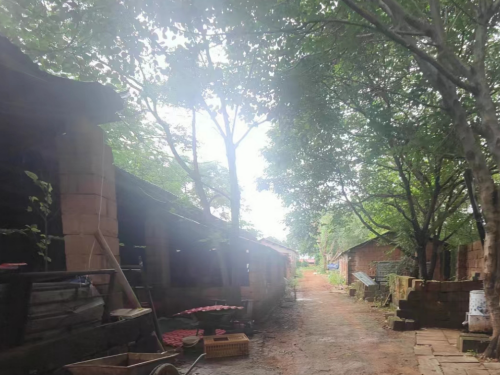 冠领律师代理福建漳州确认强拆果园和猪舍违法纠纷案胜诉-1