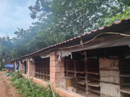 承包的农场被纳入征收范围得不到拆迁补偿怎么办