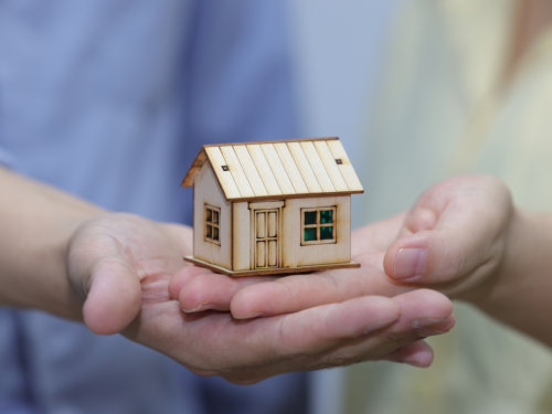 1769477372934353.jpg 1.jpg