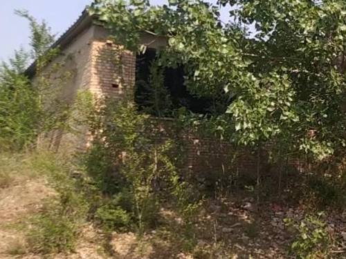 1775184103489035.jpg 1.jpg