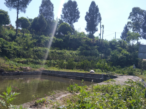 1775697459179744.jpg 1.jpg