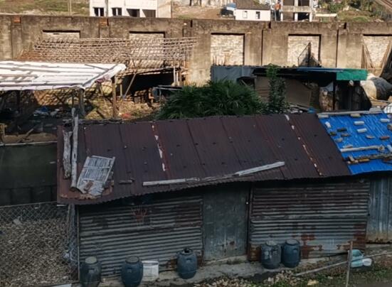 吉林房屋拆迁案例-违建房遭遇强拆是否应当赔偿