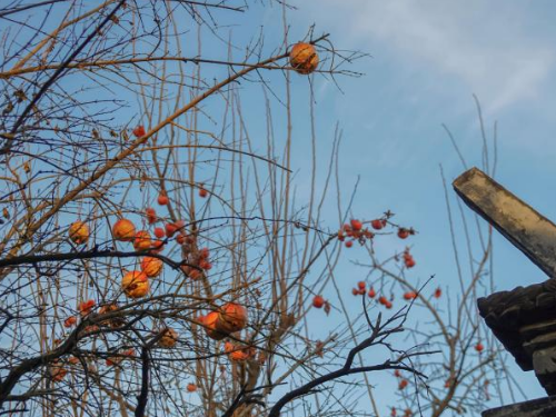 城区法拍未办理产权过户的小院与邻居的拆迁补偿标准不一样如何维权 城区法拍未办理产权过户的小院与邻居的拆迁补偿标准不一样如何维权
