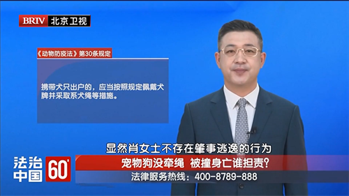 4-120251206-1宠物狗没牵绳 被撞身亡谁担责？.mp4.00_00_00_00.Still001.png